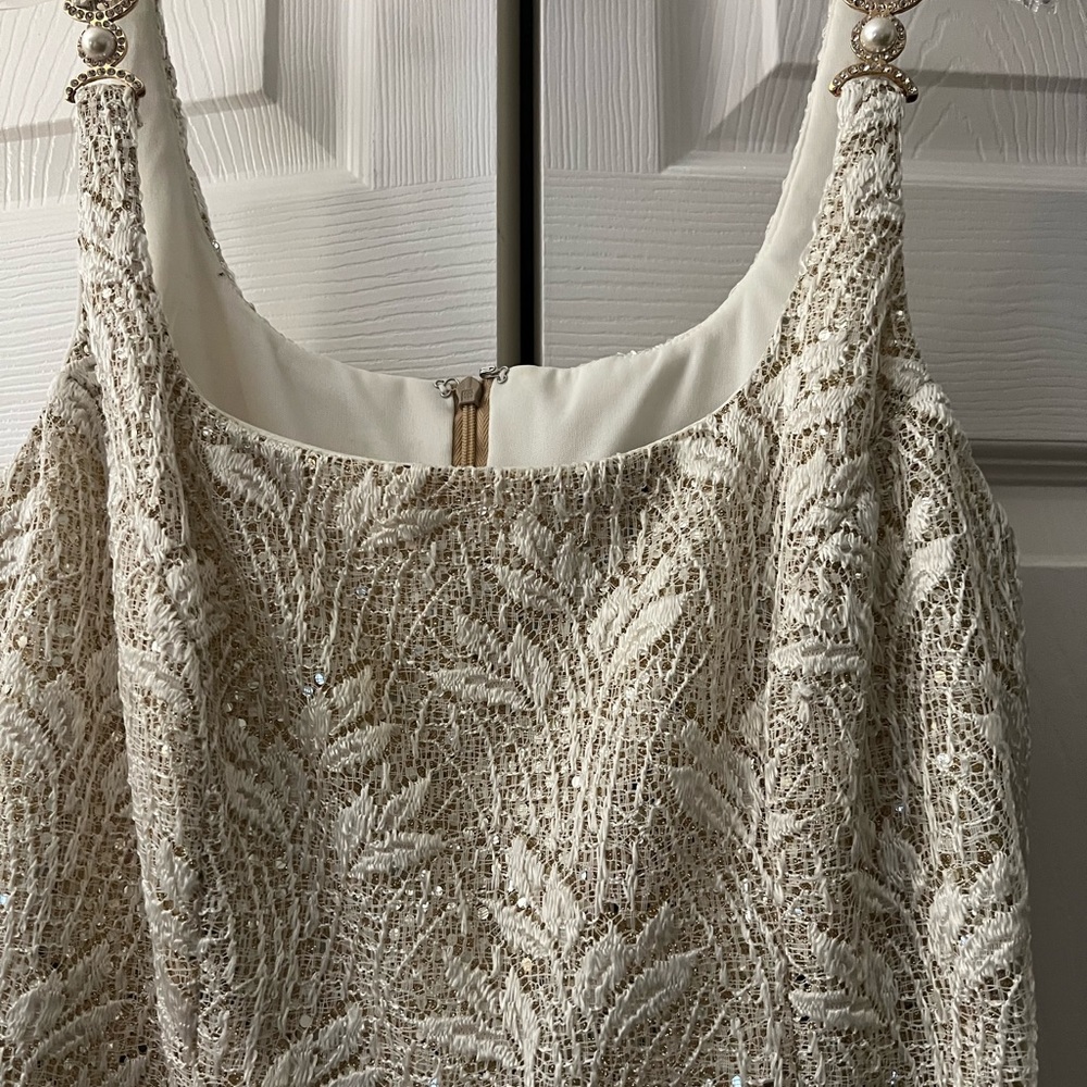 Bari Jay cream lace with gold sequin layer long dress 4 petite.